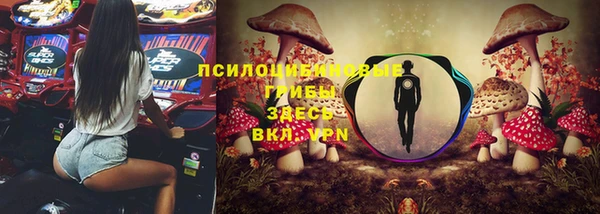 дмт Балабаново