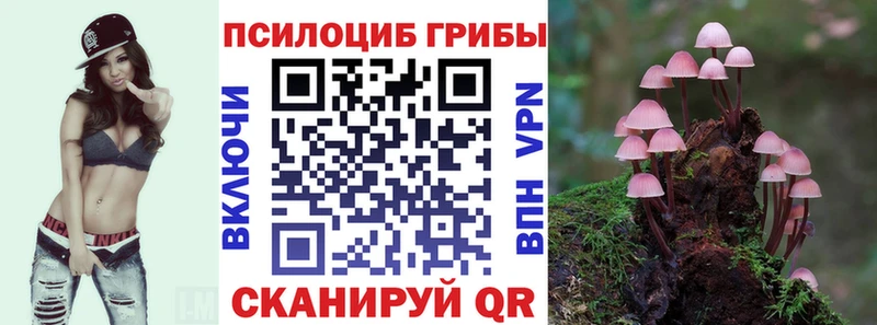 наркошоп  Свободный  Галлюциногенные грибы MAGIC MUSHROOMS 