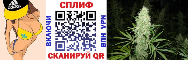 Бошки Шишки гибрид  магазин продажи   Свободный 
